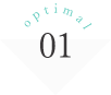 optimal01
