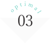 optimal03