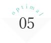 optimal05