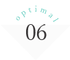 optimal06
